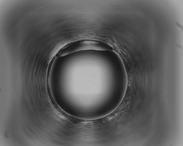 X0000096450052200801311459