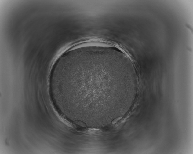 X0000096450055200801311459