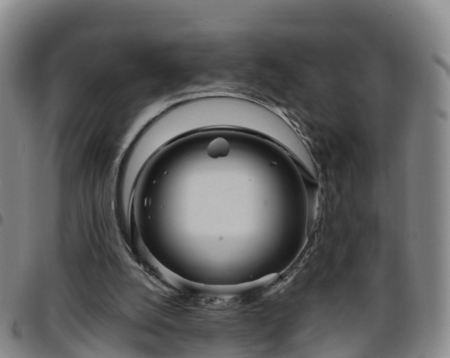 X0000096450056200801311459