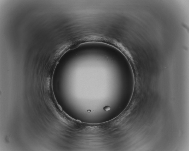 X0000096450057200801311459