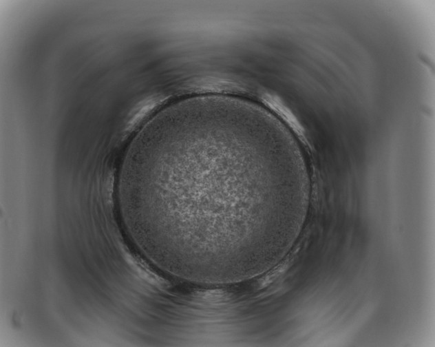 X0000096450058200801311459