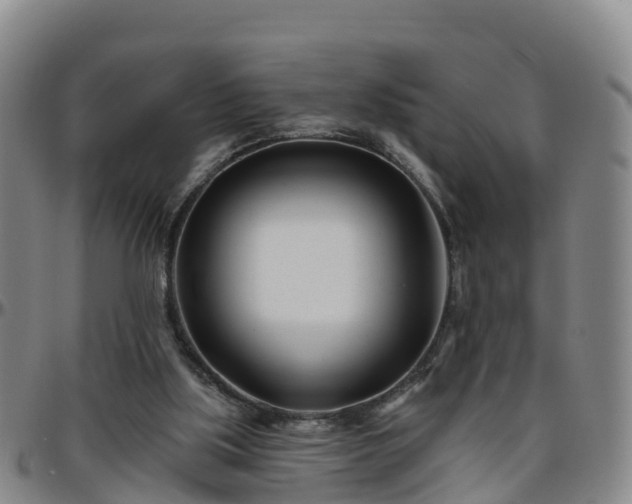 X0000096450059200801311459