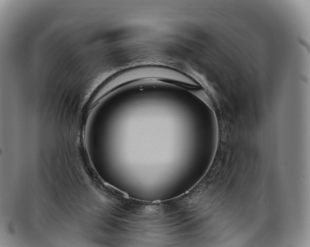 X0000096450060200801311459