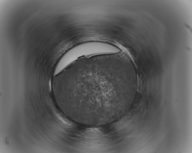 X0000096450061200801311459