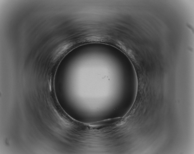 X0000096450062200801311459