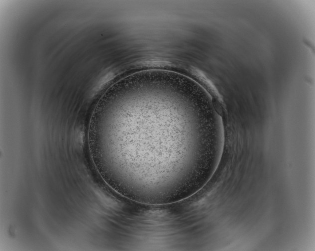 X0000096450063200801311459