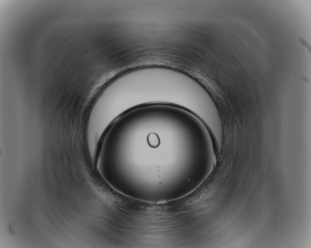 X0000096450064200801311459