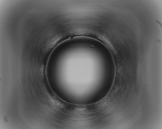 X0000096450066200801311459