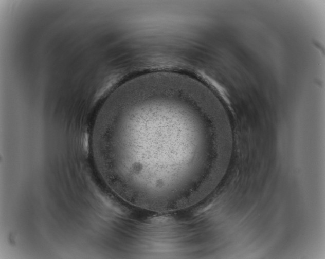 X0000096450067200801311459