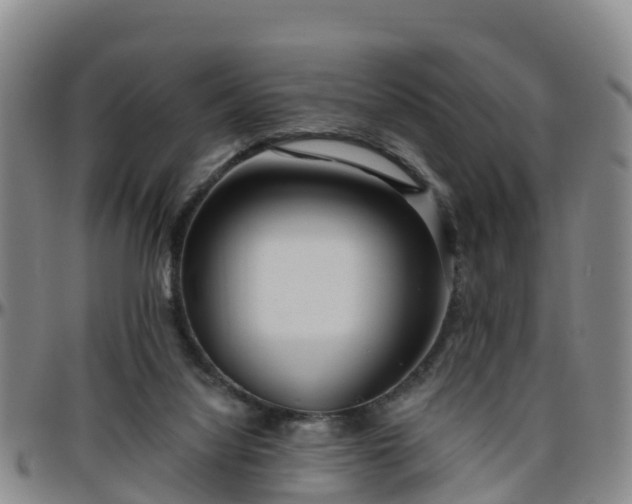 X0000096450068200801311459