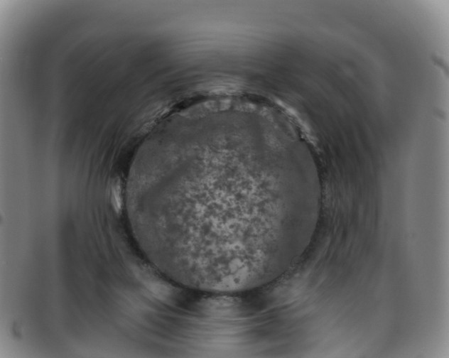 X0000096450069200801311459