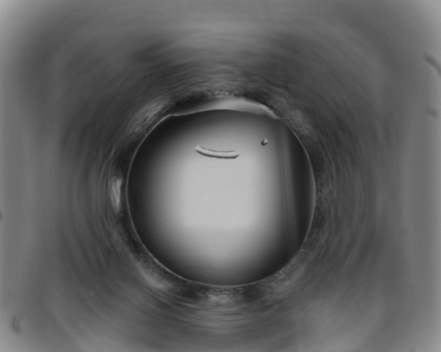 X0000096450070200801311459