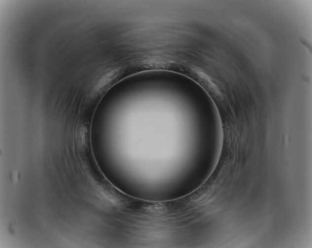 X0000096450071200801311459