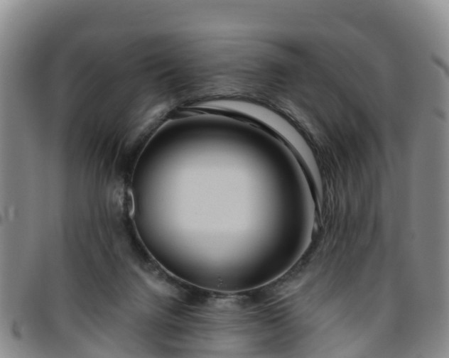 X0000096450072200801311459