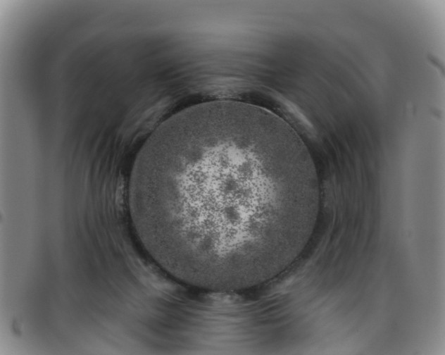 X0000096450073200801311459