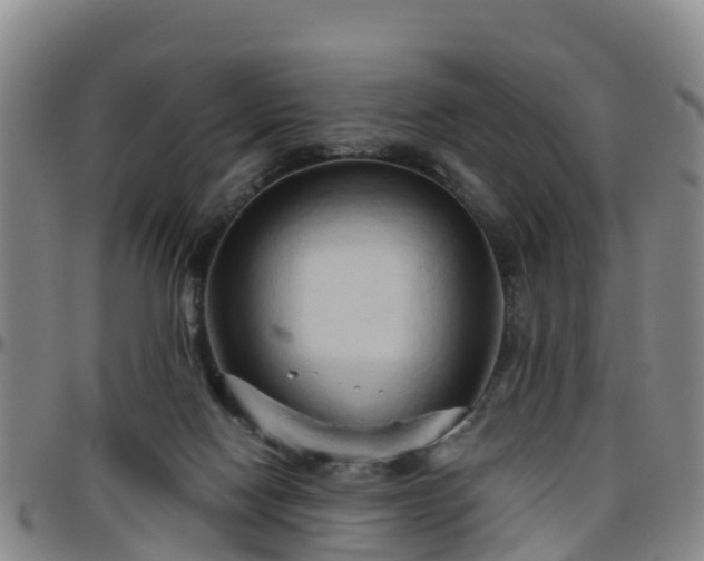 X0000096450074200801311459