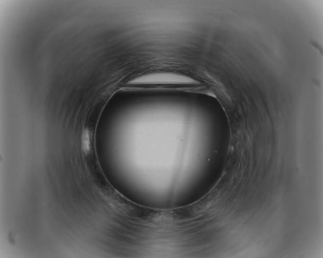 X0000096450075200801311500