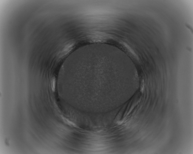 X0000096450076200801311500