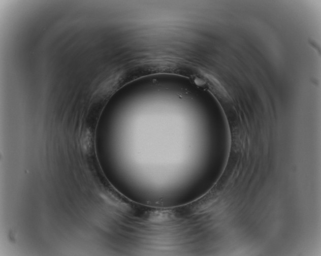 X0000096450077200801311500