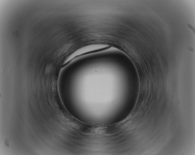 X0000096450078200801311500