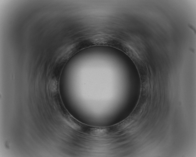 X0000096450081200801311500