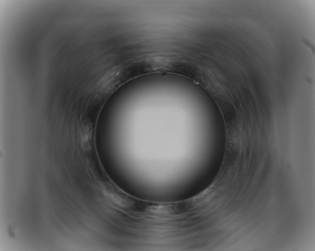 X0000096450082200801311500