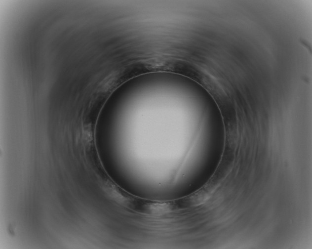 X0000096450085200801311500