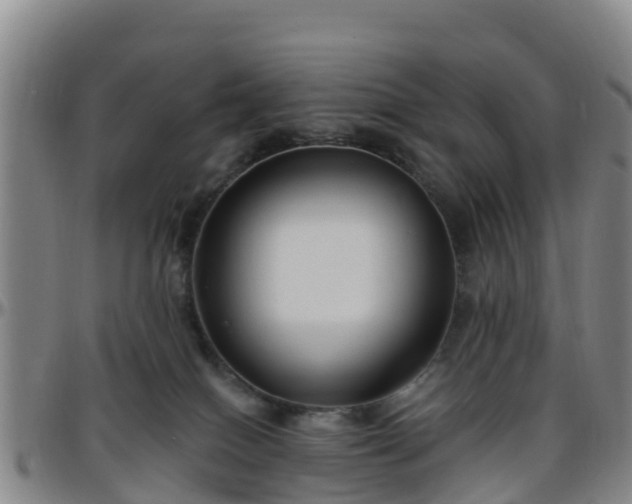 X0000096450086200801311500