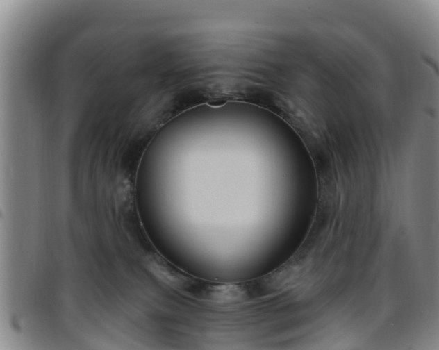 X0000096450087200801311500