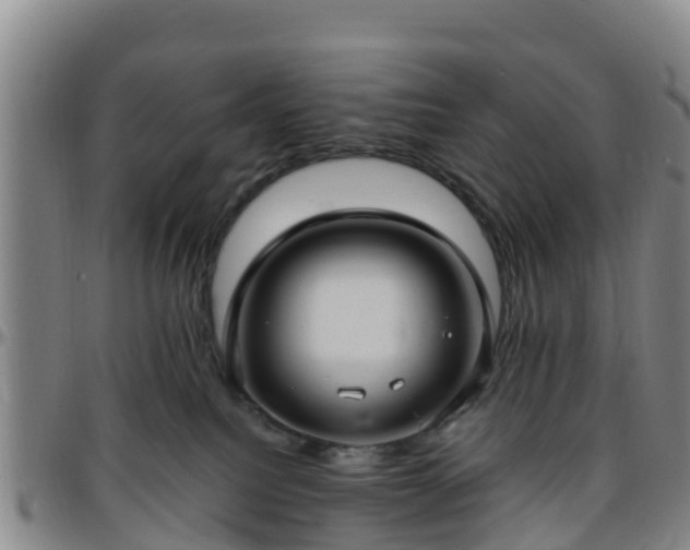 X0000096450088200801311500