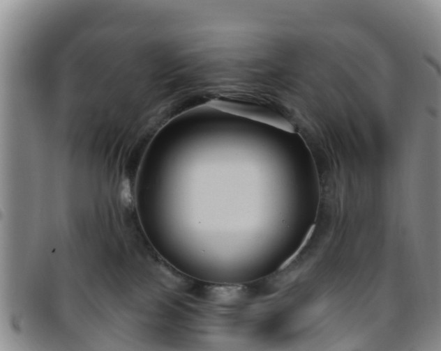 X0000096450089200801311500