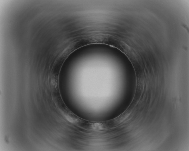 X0000096450091200801311500