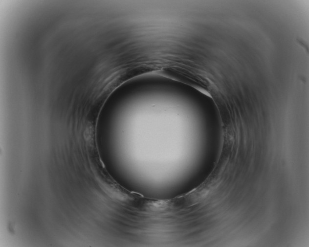 X0000096450092200801311500