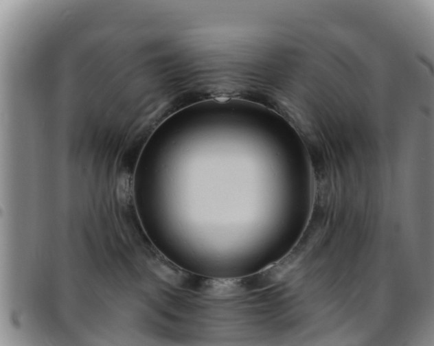 X0000096450093200801311500