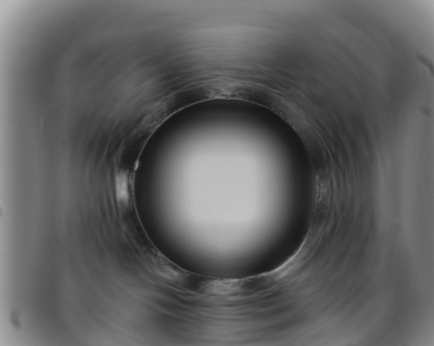 X0000096450094200801311500