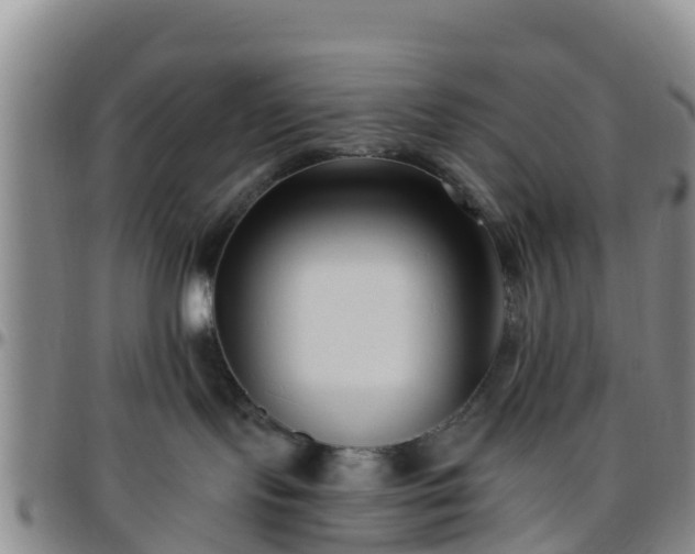 X0000096450095200801311500