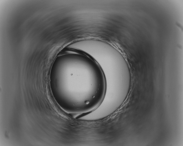 X0000096450097200801311459