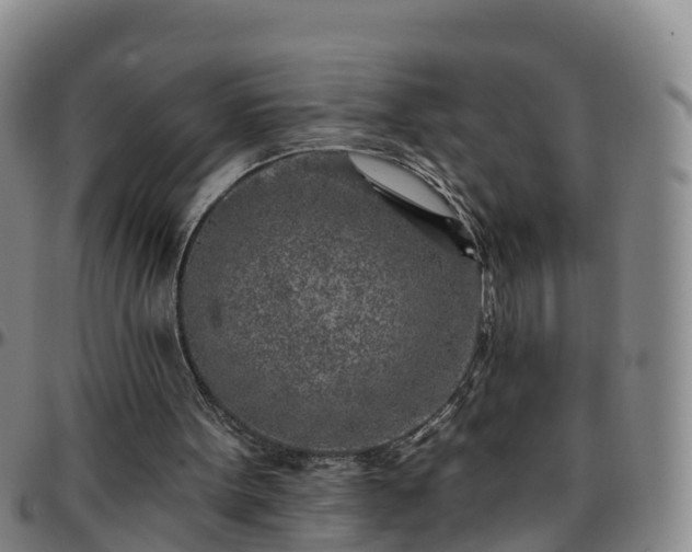 X0000096450099200801311459