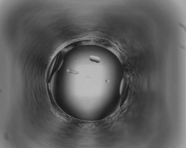 X0000096450100200801311459