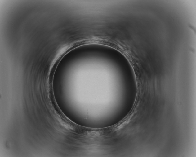 X0000096450102200801311459