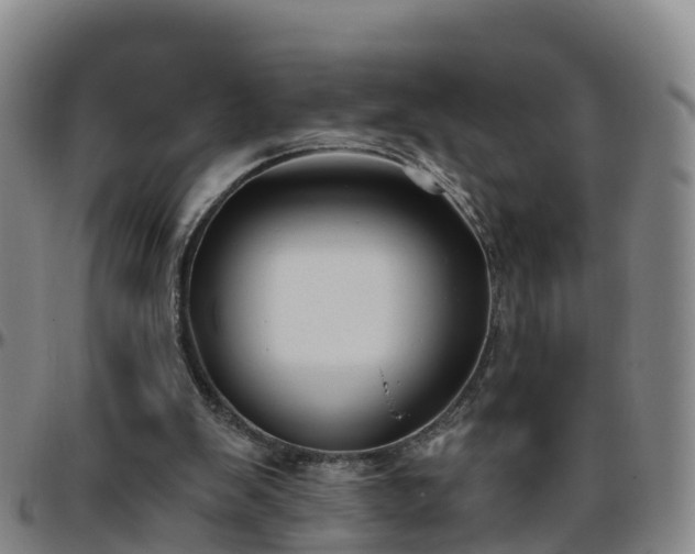 X0000096450103200801311459