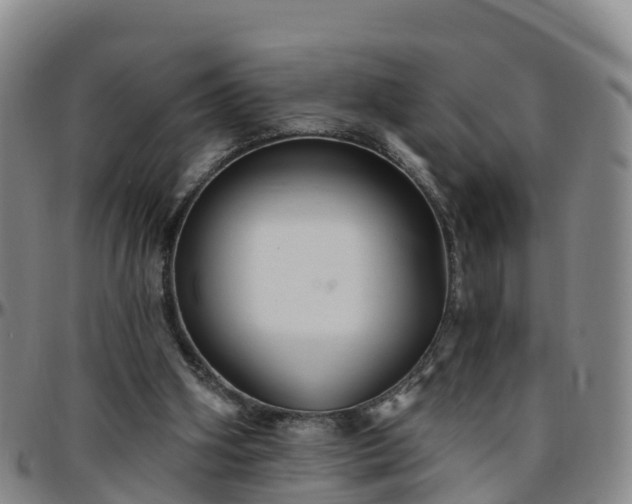 X0000096450106200801311459