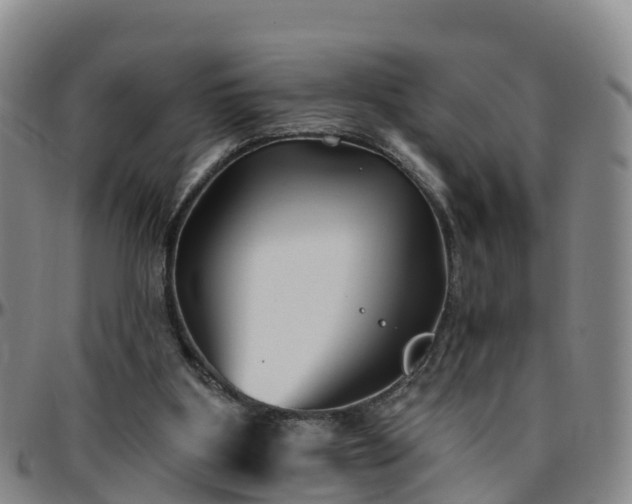 X0000096450107200801311459