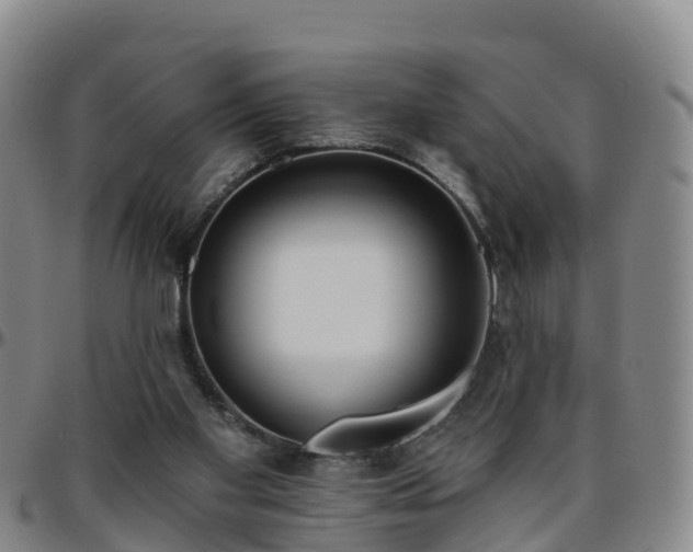 X0000096450109200801311459