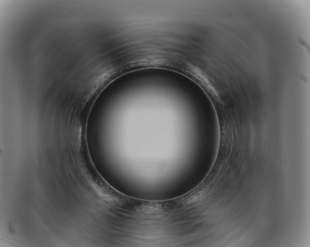 X0000096450110200801311459