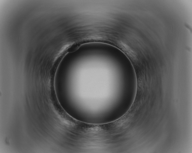 X0000096450112200801311459