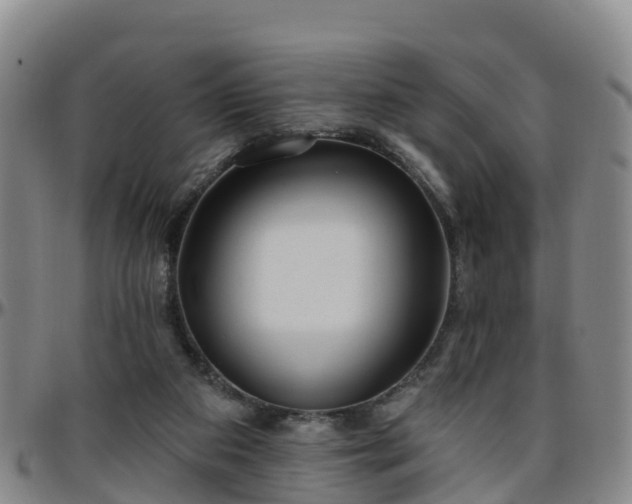 X0000096450113200801311459