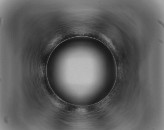 X0000096450114200801311459