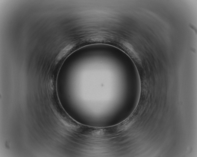 X0000096450116200801311459