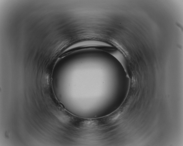 X0000096450117200801311459